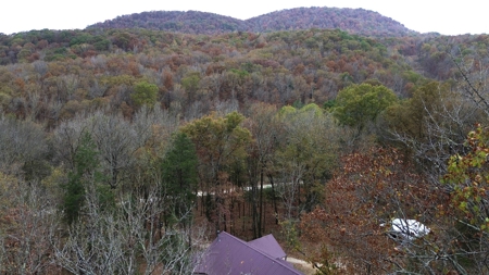Newton County Jasper Home w/Waterfall on 5 Acres For Sale - image 13