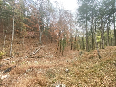 Newton County Jasper Home w/Waterfall on 5 Acres For Sale - image 25