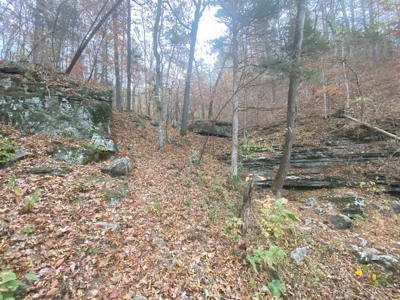 Newton County Jasper Home w/Waterfall on 5 Acres For Sale - image 22