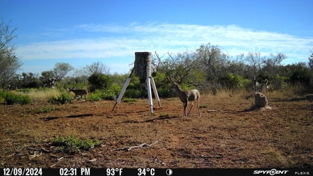 Hideaway Hunting Property - image 25