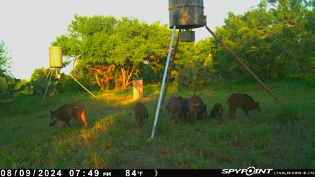 Hideaway Hunting Property - image 1