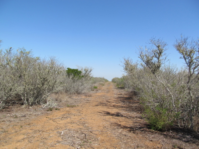 Hideaway Hunting Property - image 32