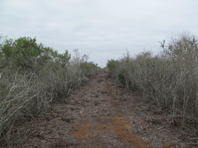 Hideaway Hunting Property - image 6