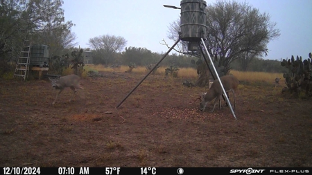 Hideaway Hunting Property - image 24