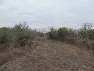 Hideaway Hunting Property - image 9