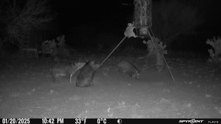 Hideaway Hunting Property - image 14