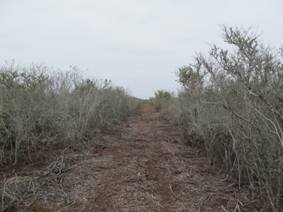 Hideaway Hunting Property - image 8