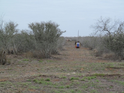 Hideaway Hunting Property - image 19