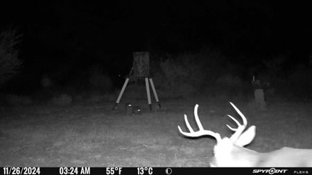 Hideaway Hunting Property - image 16