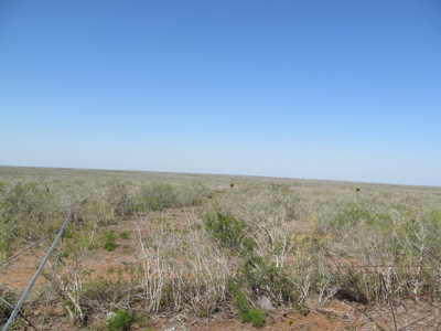 Hideaway Hunting Property - image 36