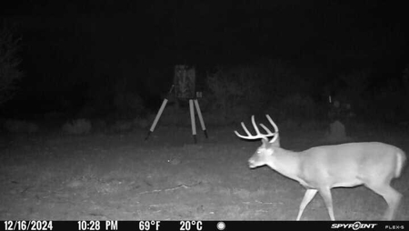 Hideaway Hunting Property - image 15