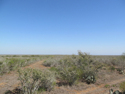 Hideaway Hunting Property - image 37