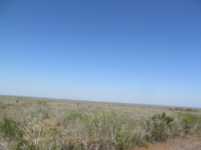 Hideaway Hunting Property - image 35