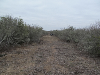 Hideaway Hunting Property - image 20