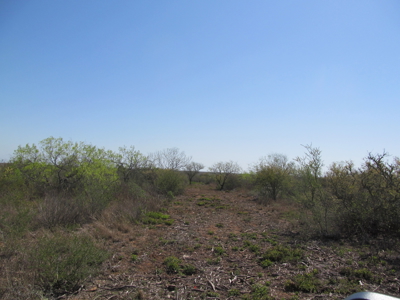 Hideaway Hunting Property - image 33