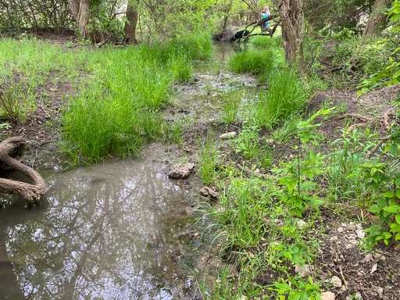 51.01 Acres for Sale in Gatesville, TX - image 26