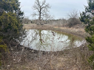51.01 Acres for Sale in Gatesville, TX - image 15