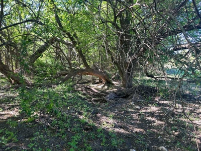 51.01 Acres for Sale in Gatesville, TX - image 46