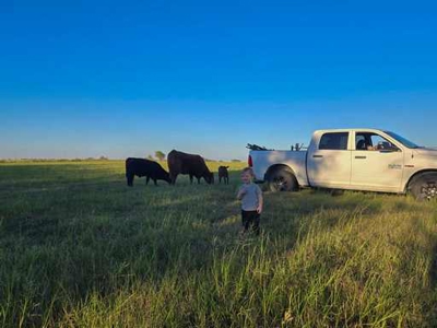 51.01 Acres for Sale in Gatesville, TX - image 7