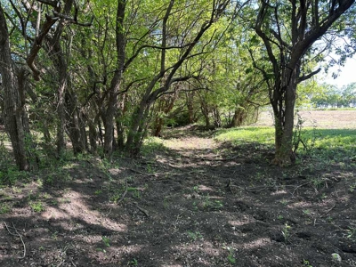 51.01 Acres for Sale in Gatesville, TX - image 37