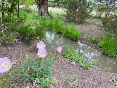 51.01 Acres for Sale in Gatesville, TX - image 11