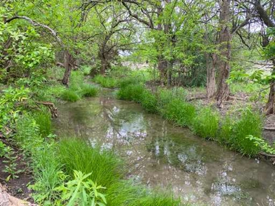 51.01 Acres for Sale in Gatesville, TX - image 38