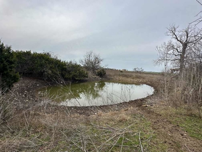 51.01 Acres for Sale in Gatesville, TX - image 16