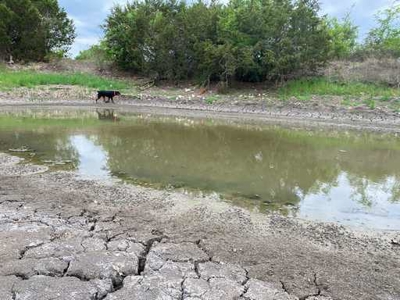51.01 Acres for Sale in Gatesville, TX - image 12