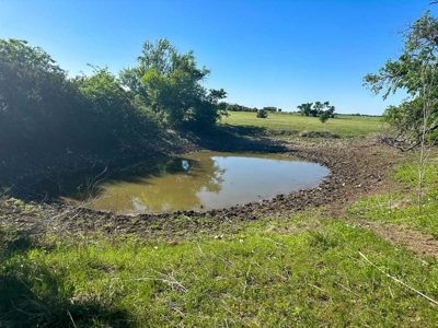51.01 Acres for Sale in Gatesville, TX - image 2