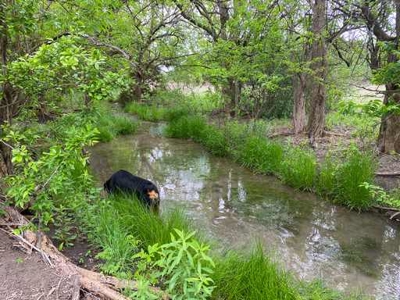 51.01 Acres for Sale in Gatesville, TX - image 1
