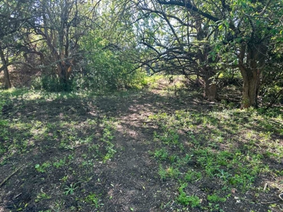 51.01 Acres for Sale in Gatesville, TX - image 48