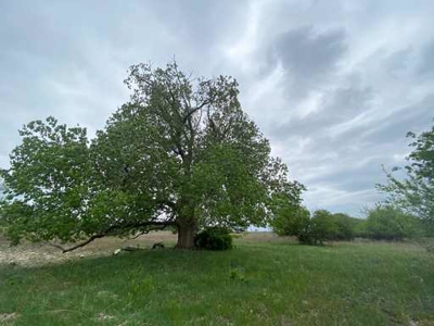 51.01 Acres for Sale in Gatesville, TX - image 18