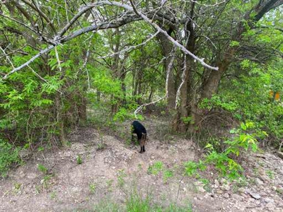 51.01 Acres for Sale in Gatesville, TX - image 17