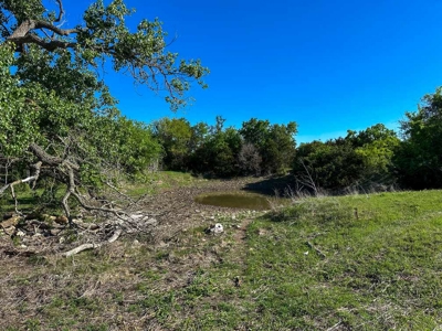 51.01 Acres for Sale in Gatesville, TX - image 44