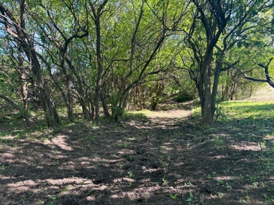 51.01 Acres for Sale in Gatesville, TX - image 45