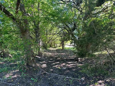 51.01 Acres for Sale in Gatesville, TX - image 49