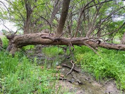 51.01 Acres for Sale in Gatesville, TX - image 19