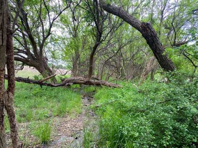 51.01 Acres for Sale in Gatesville, TX - image 24