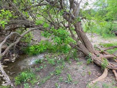 51.01 Acres for Sale in Gatesville, TX - image 13