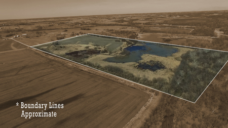 A diverse farm in Linn County - image 10
