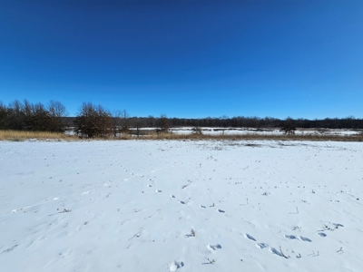 A diverse farm in Linn County - image 4