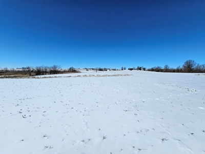 A diverse farm in Linn County - image 5