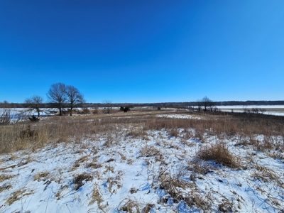 A diverse farm in Linn County - image 7