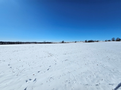 A diverse farm in Linn County - image 2