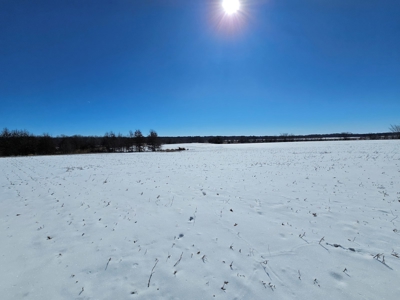 A diverse farm in Linn County - image 3