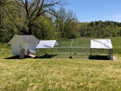 Self Sufficient Farm w/Home, Pasture, Creek & Shop for Sale - image 31