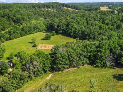 Self Sufficient Farm w/Home, Pasture, Creek & Shop for Sale - image 41