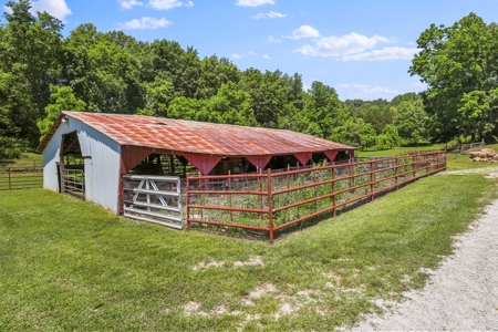 Self Sufficient Farm w/Home, Pasture, Creek & Shop for Sale - image 24