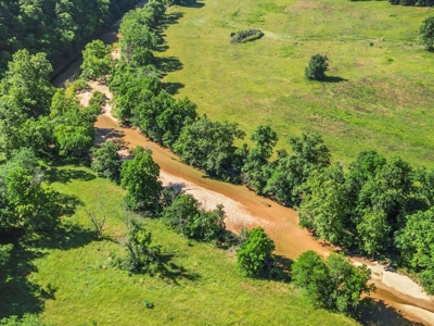 Self Sufficient Farm w/Home, Pasture, Creek & Shop for Sale - image 3