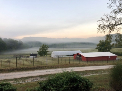 Self Sufficient Farm w/Home, Pasture, Creek & Shop for Sale - image 42